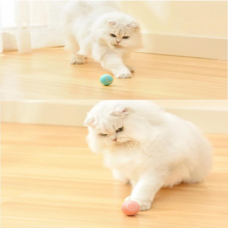 brinquedo interativa para gatos, bola automática para gatos – movimento  automática 360 graus, brinquedos interativos para gatos, bola recarregável  por